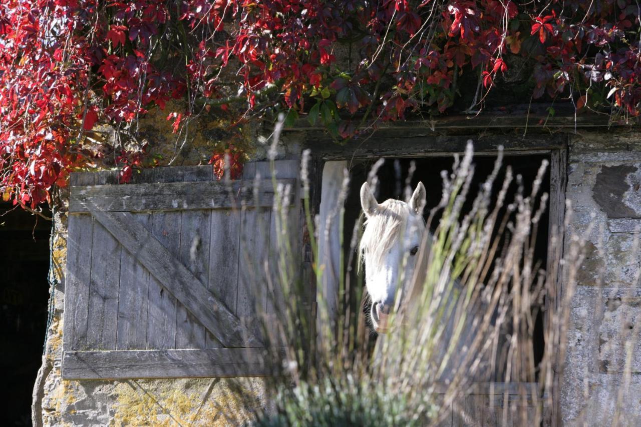 The Granary Bed & Breakfast Lifton Exterior photo